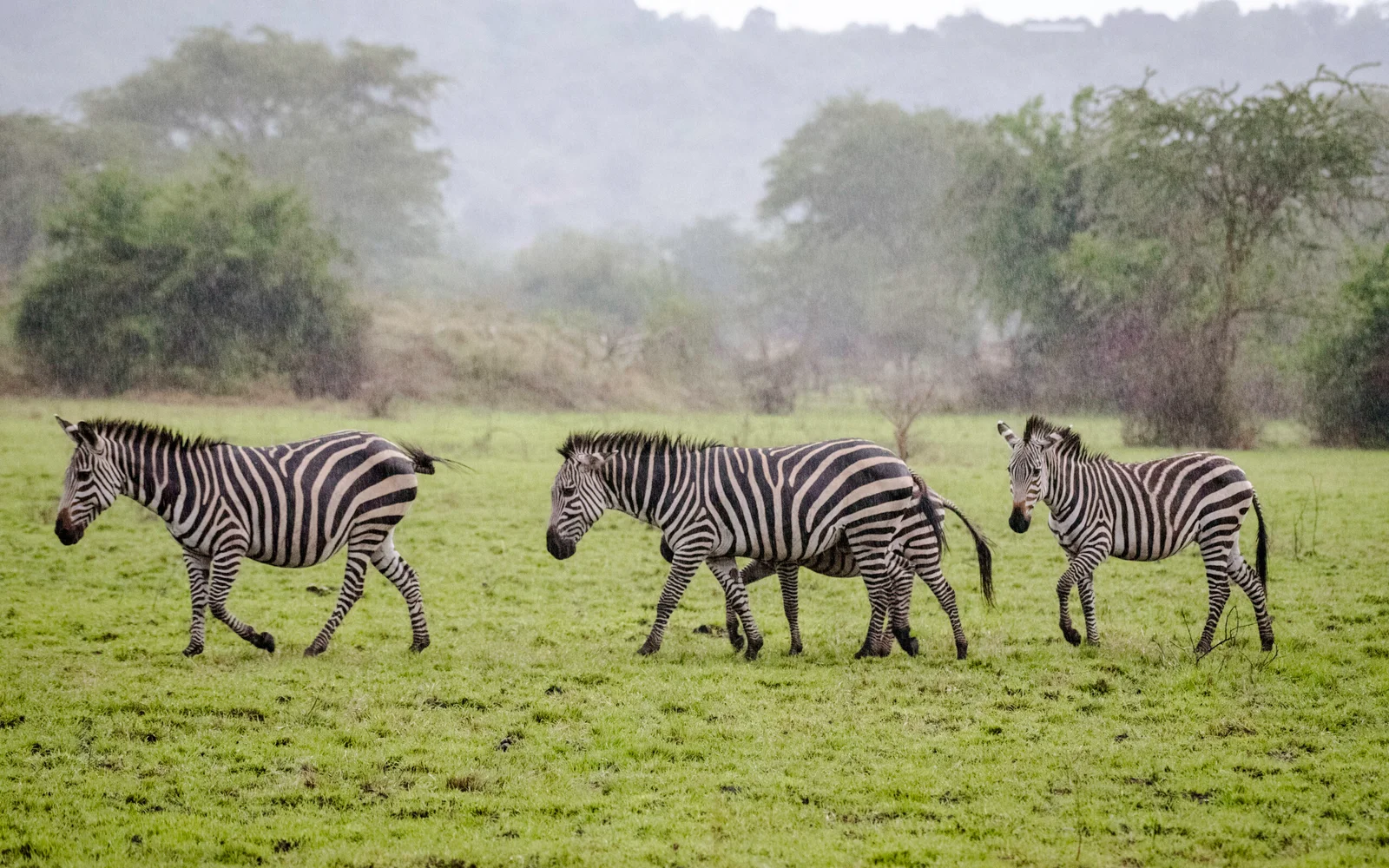 TTP24Mburo-10-scaled