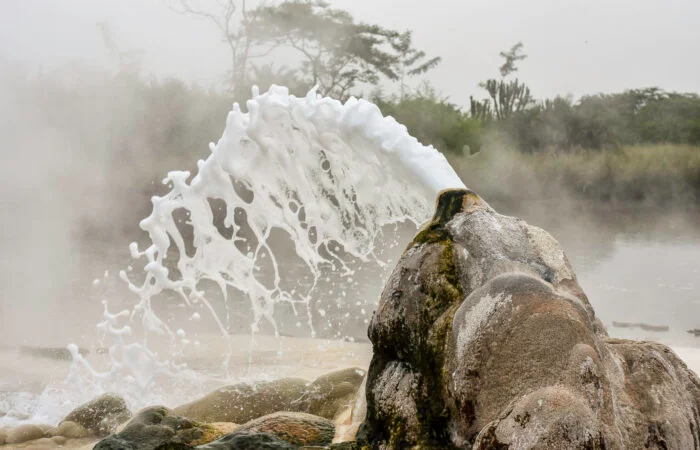 TTP24Semuliki-15-700x450